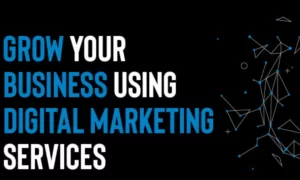How To Grow Your Business Through Digital Marketing